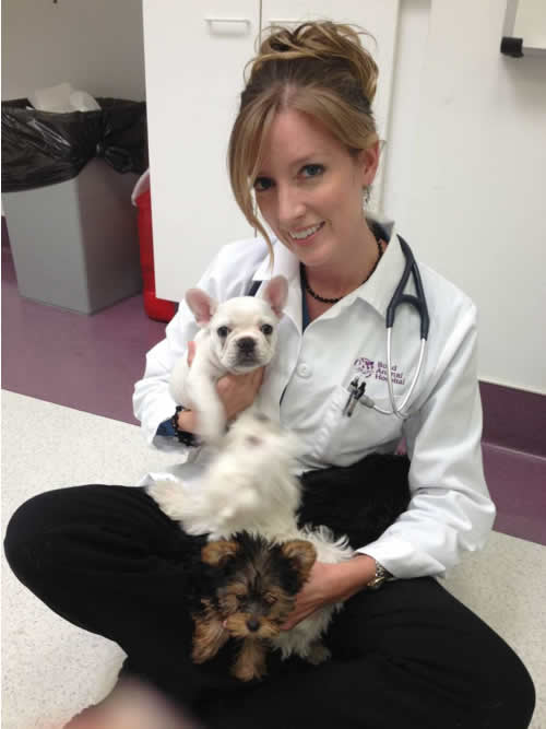 Dr. Shannon James, DVM, PLLC || Veterinary Relief Services || 203-803-8351