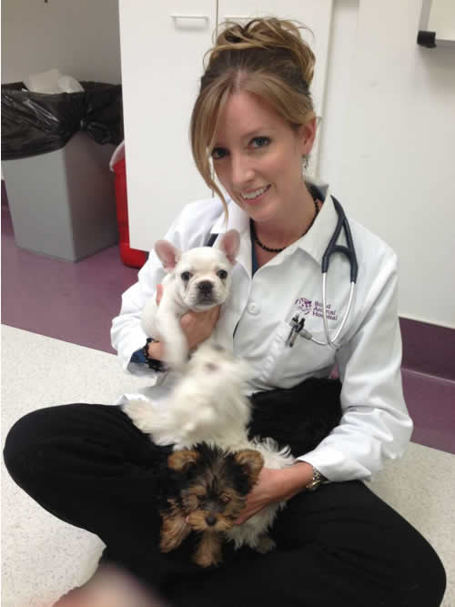 Dr. Shannon James, DVM, PLLC